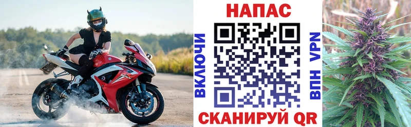 где купить наркоту  Краснообск  Бошки Шишки семена 